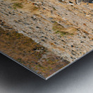 Zebras drink water at a waterhole in Etosha National Park Namibi Metal print