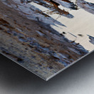 Elephant drinks at waterhole during sunset in Etosha National Pa Metal print