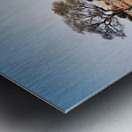 Zebras drink water at a waterhole in Etosha National Park Namibi Metal print