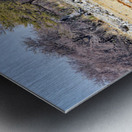 Giraffes and springboks in Etosha National Park Namibia Metal print