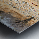 Gemsbok oryx drinking near water in Etosha National Park Namibi Metal print