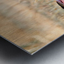 Cheetah feeding on prey in Okonjima Reserve Namibia Metal print