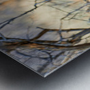 Cheetah feeds on prey in okonjima reserve in namibia Metal print