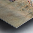 Cheetah feeding on prey in Okonjima Reserve in Namibia Metal print