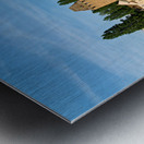 Covered bridges in Strasbourg by the river on a clear day Metal print