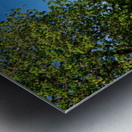 Visit to Azay le Rideau in Loire Valley France on a clear day Metal print