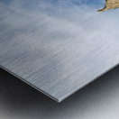 Explore the basilica of st saviour in dinan brittany france Metal print