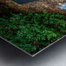 Memorial for Jan Palach and Jan Zajíc victims of communism. Metal print