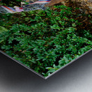 Memorial for Czech heroes Jan Palach and Jan Zajíc. Metal print