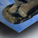 Two Moai statues against a blue sky. Metal print