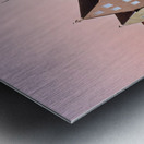 Historic buildings in Fussen on the Romantic Road in Germany Metal print