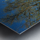 Explore Maria Geburt Church in Rottenbuch Bavaria along Romanti Metal print