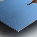 Visitors explore Dinkelsbuhl old town and historical statue Metal print