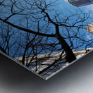 Modern architecture and Sky Tower in Auckland New Zealand Metal print