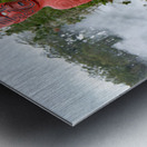 Explore Whakarewarewa village in Rotorua New Zealand with carvi Metal print