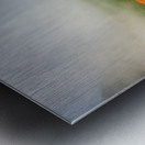 Explore champagne pool at waiotapu thermal wonderland in rotorua Metal print