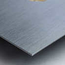 Berninis Clement X bust in Galleria Nazionale dArte Antica Metal print