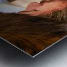 Prayer at the wailing wall in jerusalem by orthodox jews Metal print