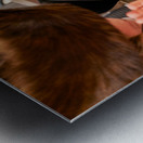 Orthodox Jews pray at the Wailing Wall in Jerusalem Israel Metal print