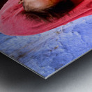 Mother carries sleeping child in India during daytime Metal print