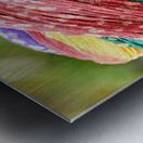 Senior man in colorful turban in Deshnok Rajasthan India Metal print