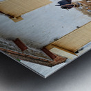 Man walking with cow in Mandawa streets Rajasthan India Metal print