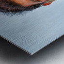 Portrait of a bearded man in Khimsar Rajasthan India Metal print