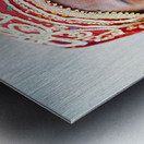 Portrait of woman in traditional dress in Mandawa Rajasthan Metal print