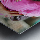 Portrait of a young girl carrying cloth in Mandawa Rajasthan Metal print