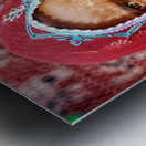 Portrait of a woman in traditional dress from Jaisalmer India Metal print