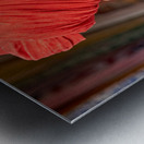 Man in red turban poses in Rajasthans Jaisalmer market street Metal print