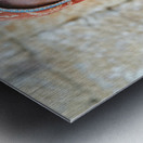 Portrait of a woman in Jaisalmer Rajasthan India Metal print