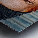 Portrait of a man with red beard in Jodhpur India Metal print