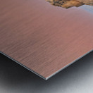 Cityscape of Jaisalmer during sunset in Rajasthan Metal print