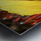 Senior man in yellow turban in Jaisalmer Rajasthan India Impression metal