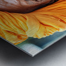 Old man in Bundi Rajasthan showing traditional culture and attir Metal print