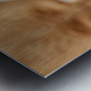 View of Taj Mahal Palace from a distance in Agra India Metal print