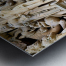 Hindu temples of Khajuraho in Madhya Pradesh show intricate carv Metal print