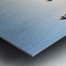 Visit to the Taj Mahal in Agra India during the evening light Metal print