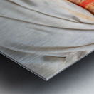 Man with white beard and turban in Orchha Madhya Pradesh India Metal print