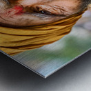 Portrait of a man in Orchha Madhya Pradesh India during the da Metal print