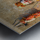 Portrait of a holy man sadhu in Orchha Madhya Pradesh India Metal print