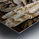 Hindu temples in Khajuraho show ancient art and carvings Metal print