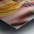 Old holy man in Varanasi wearing bright colors in Uttar Pradesh Metal print