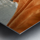 Praying by the ganges river in varanasi india Metal print