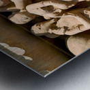 Discovering the intricate carvings at Khajuraho temples Metal print