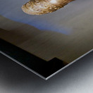 Sacred relics found in the treasure chamber of San Domenico Magg Metal print