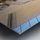 Statue at national archaeological museum of naples in campania Metal print