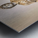 A Roman statue stands in the National Archaeological Museum of N Metal print