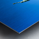 Statue of Liberty stands tall on Liberty Island in New York City Metal print